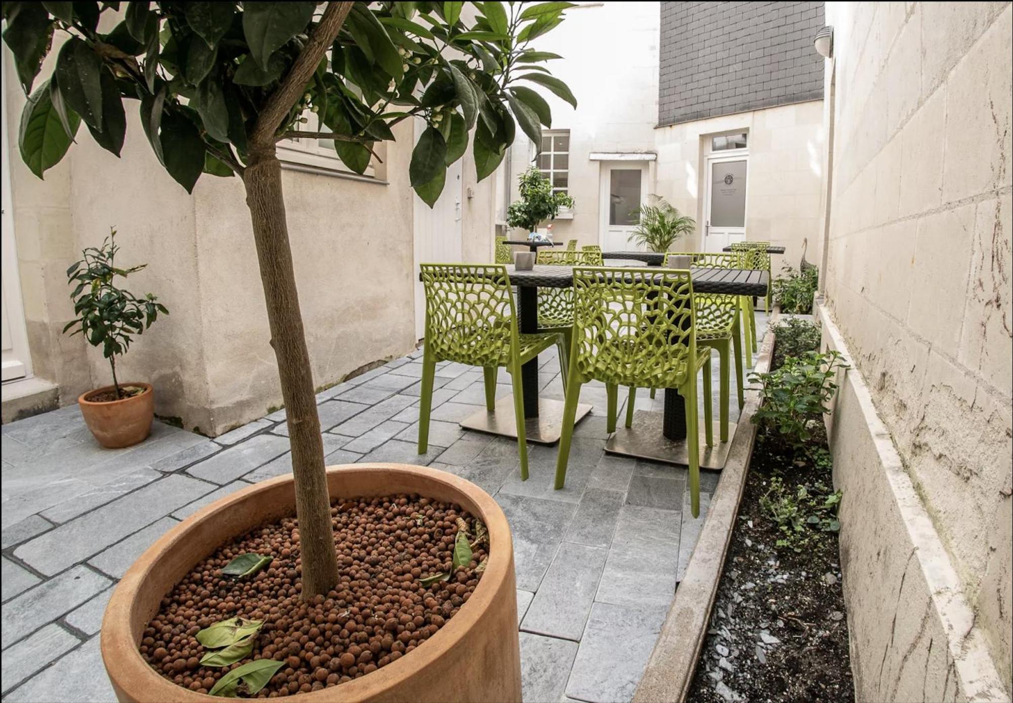 Appartement Les Lys D'Or à Saumur Extérieur photo